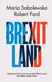 Brexitland: Identity, Diversity and the Reshaping of British Politics