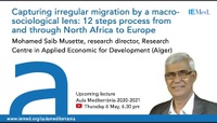 Capturing irregular migration by a macro-sociological lens: 12 steps process