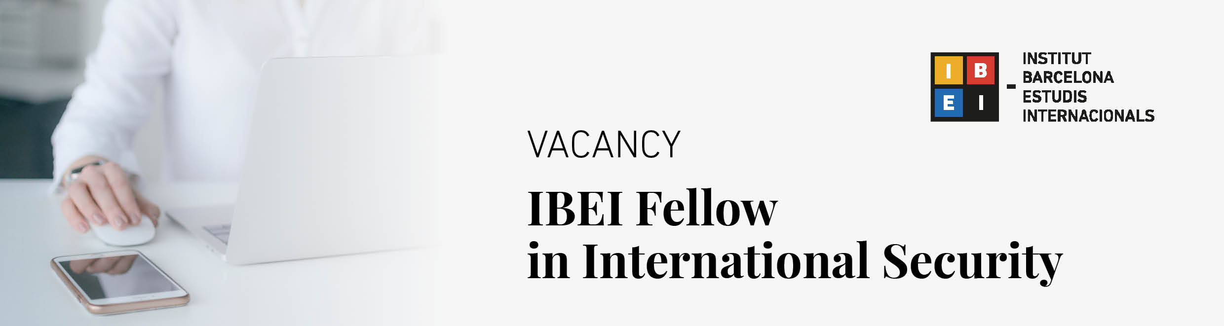 IBEI Fellow in International Security_capçalera