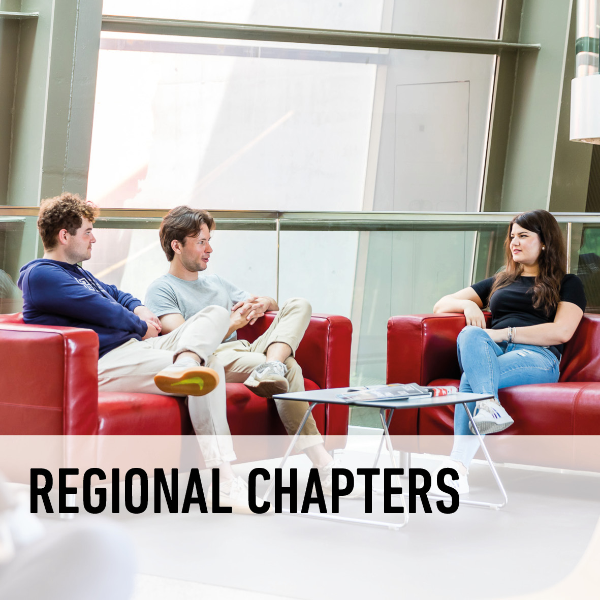 Alumni_regional chapters