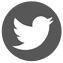 Twitter logo home
